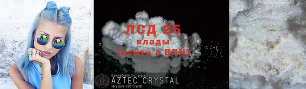 винт Абаза