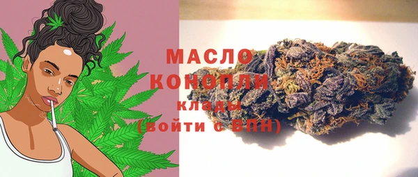 винт Абаза