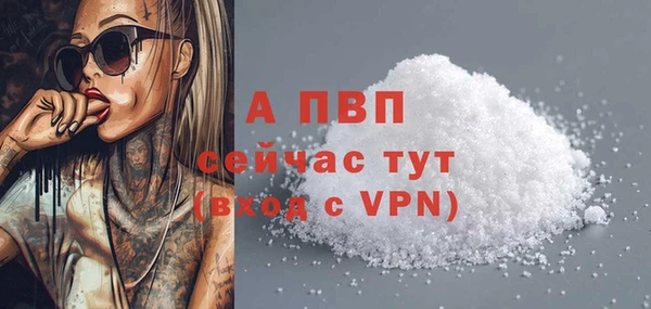 винт Абаза