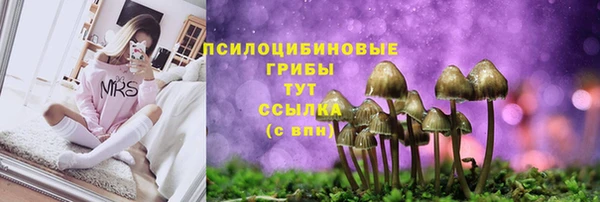 мяу мяу кристалл Каменка